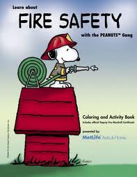 Fire safety logo